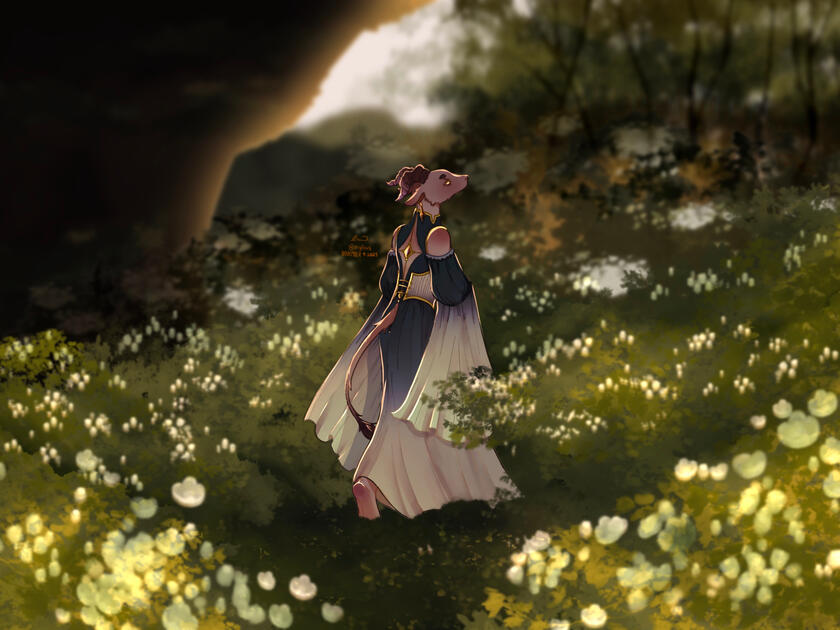 Meadows and Fields